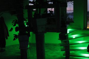 sorteerimata pildid 002.jpg